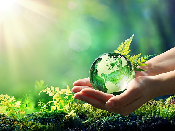 Environment earth_crop